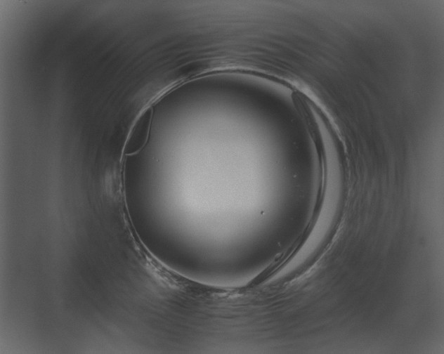 X0000070171145200605301319