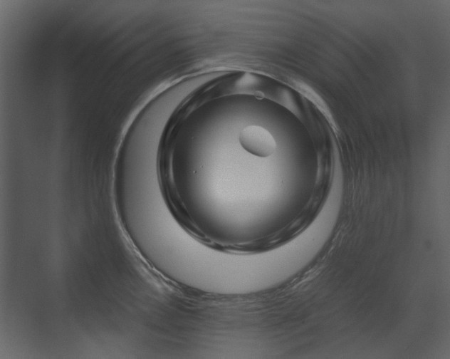 X0000070171146200605301319