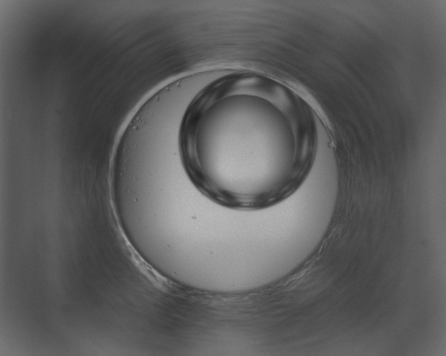 X0000070171148200605301319