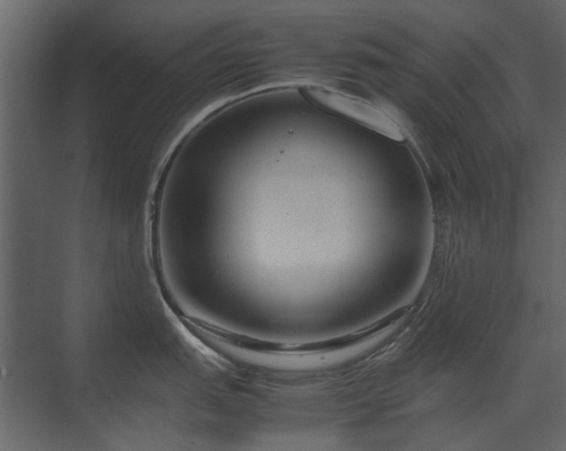 X0000070171151200605301319