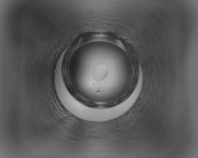 X0000070171153200605301318