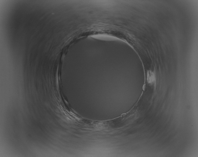 X0000070171155200605301318