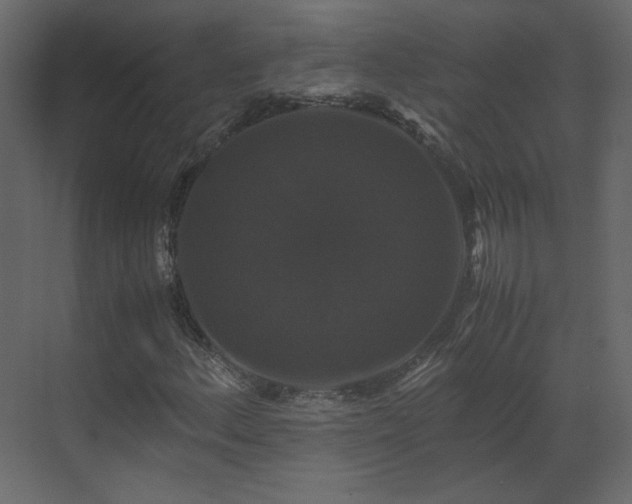 X0000070171156200605301318