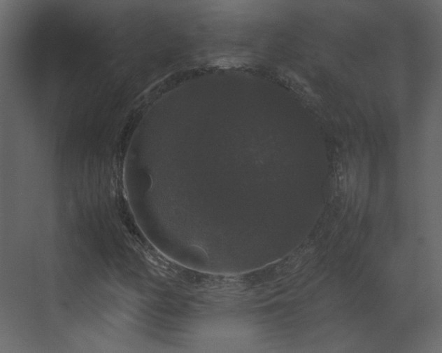 X0000070171158200605301318