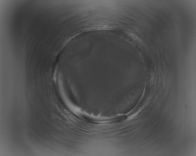 X0000070171161200605301318