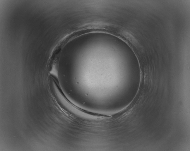 X0000070171164200605301318