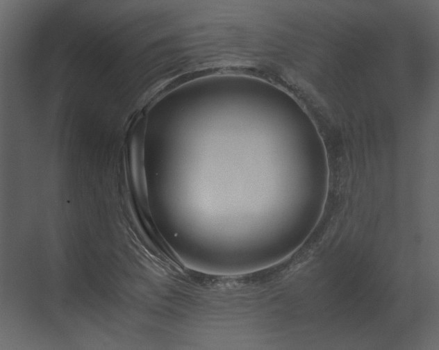 X0000070171169200605301318