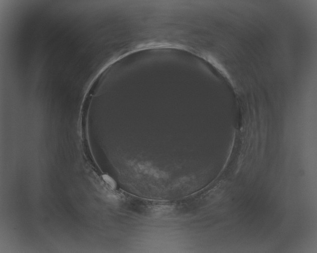 X0000070171173200605301318