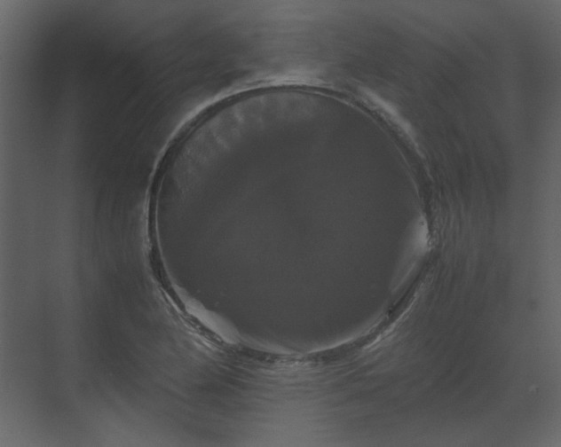 X0000070171174200605301318