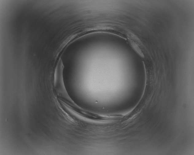 X0000070171177200605301318
