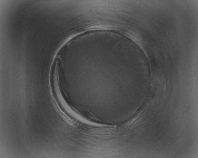 X0000070171179200605301317