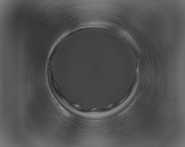 X0000070171180200605301317