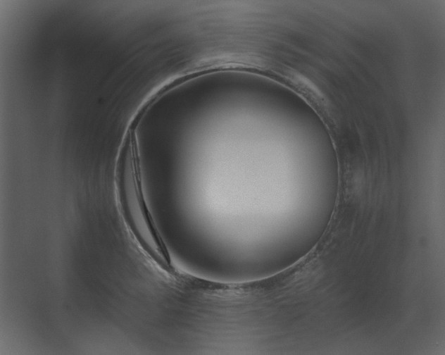 X0000070171182200605301317