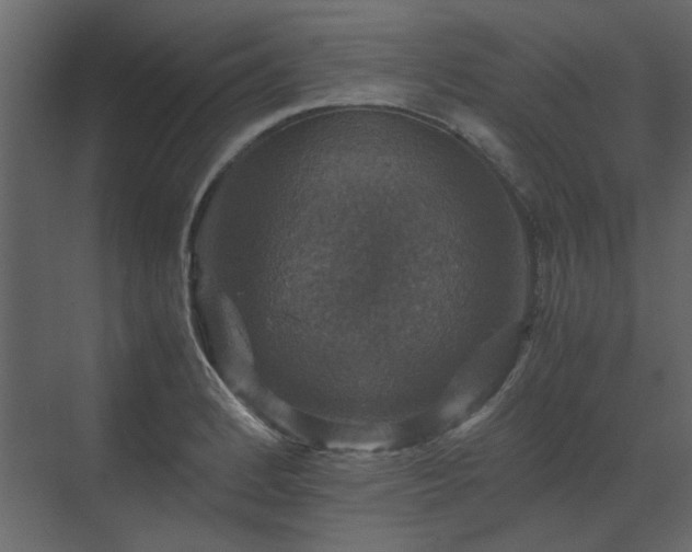 X0000070171184200605301317