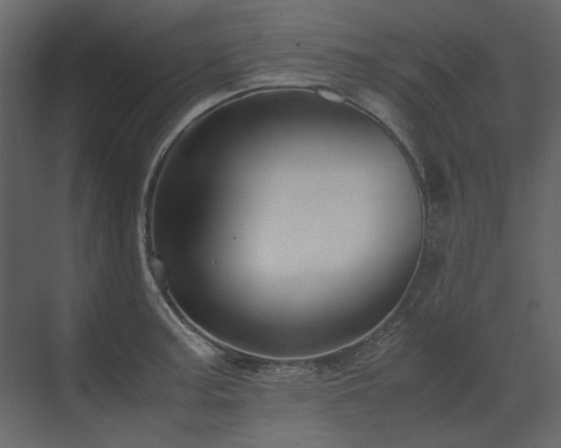 X0000070171187200605301317