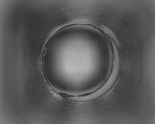 X0000070171192200605301317