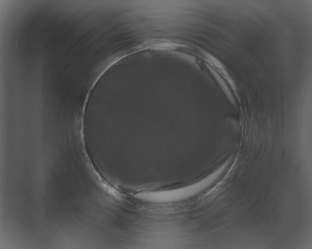 X0000070171194200605301317