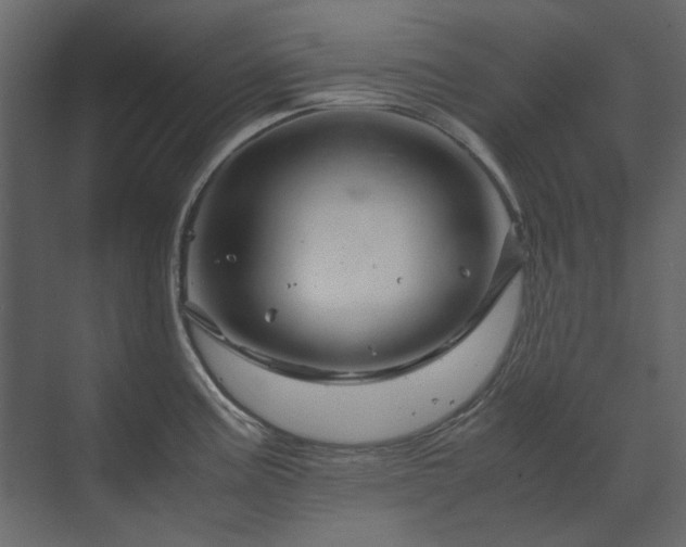X0000070171195200605301317