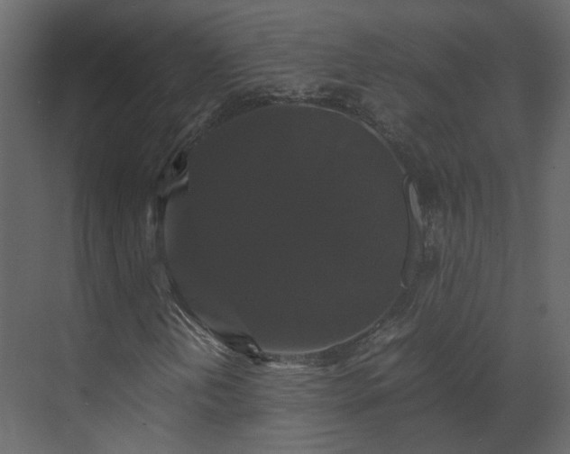 X0000070171202200605301316