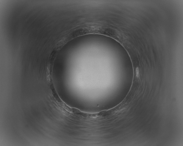 X0000070171203200605301316