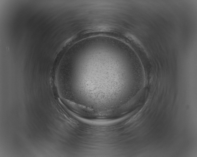 X0000070171210200605301316