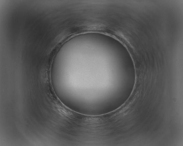 X0000070171211200605301316