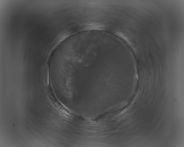 X0000070171219200605301317