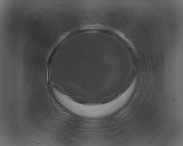 X0000070171221200605301317