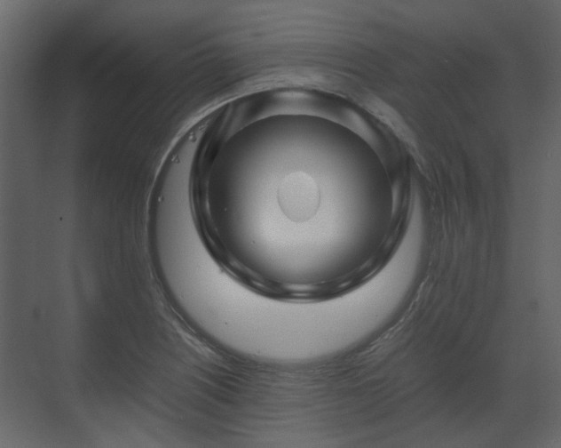 X0000070171226200605301317