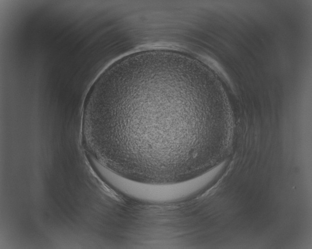 X0000070171228200605301317