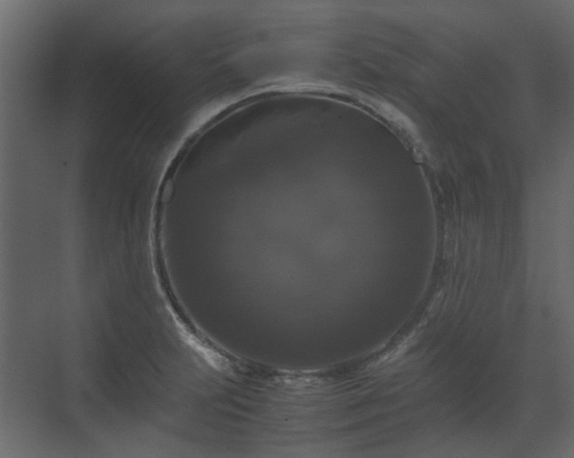X0000070171231200605301317