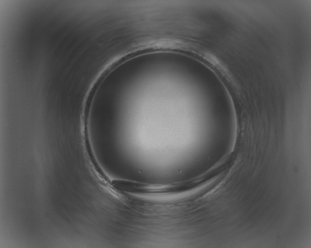 X0000070171232200605301317