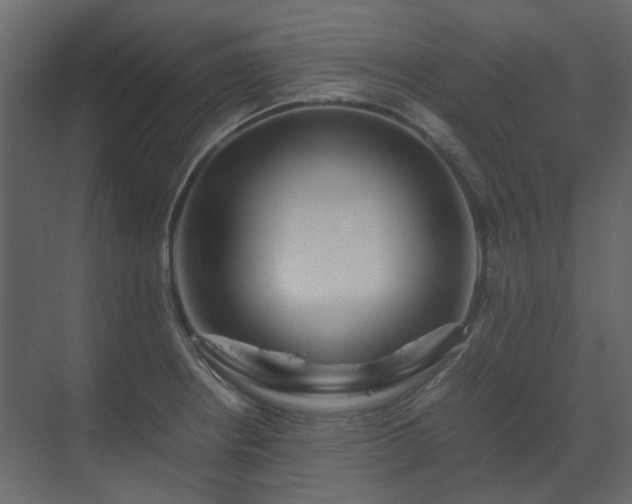 X0000070171234200605301317