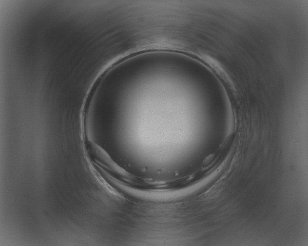 X0000070171238200605301317