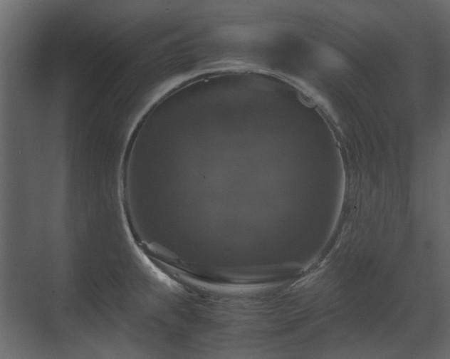 X0000070171239200605301317