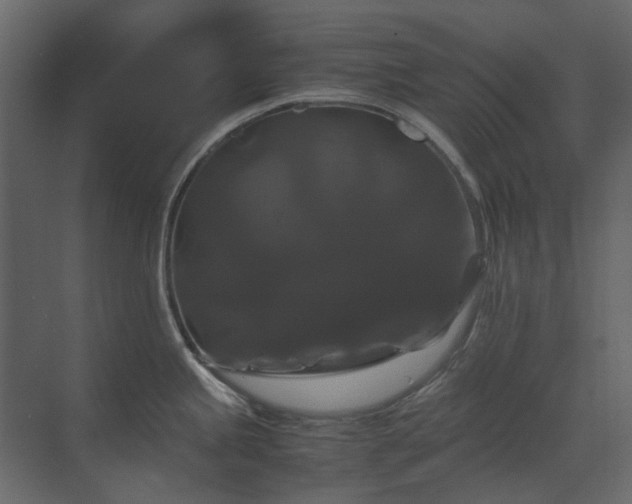 X0000070171245200605301317