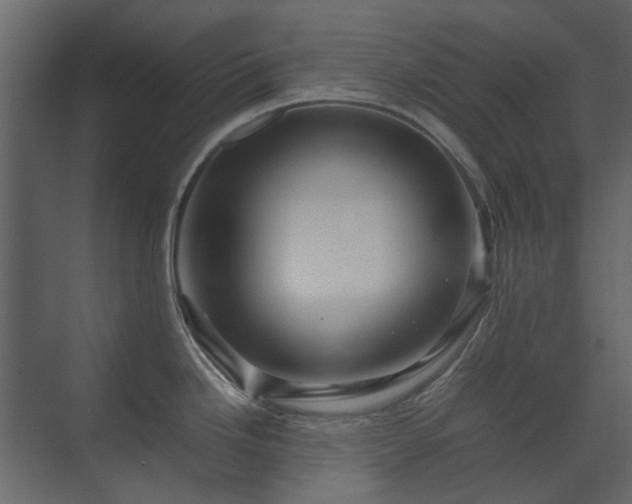 X0000070171246200605301317