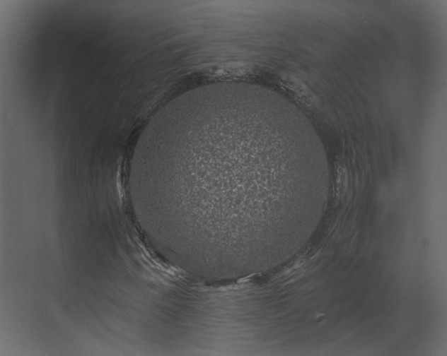 X0000070171250200605301316