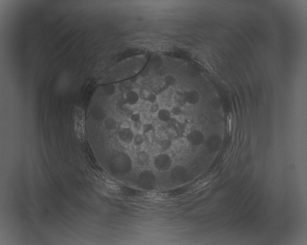 X0000070171251200605301316