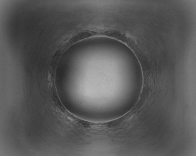 X0000070171253200605301316