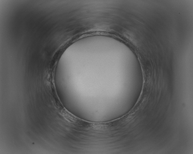 X0000070171258200605301316
