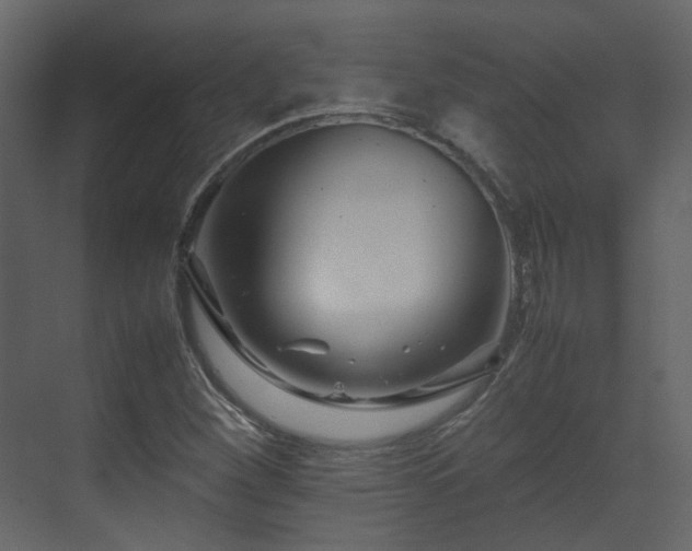 X0000070171260200605301316