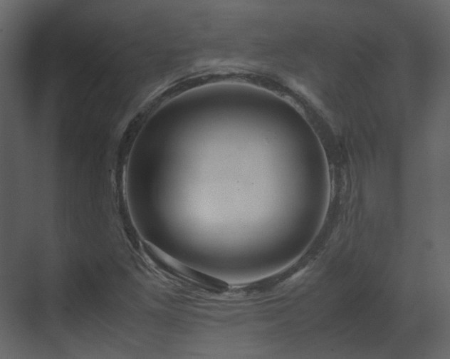X0000070171261200605301316