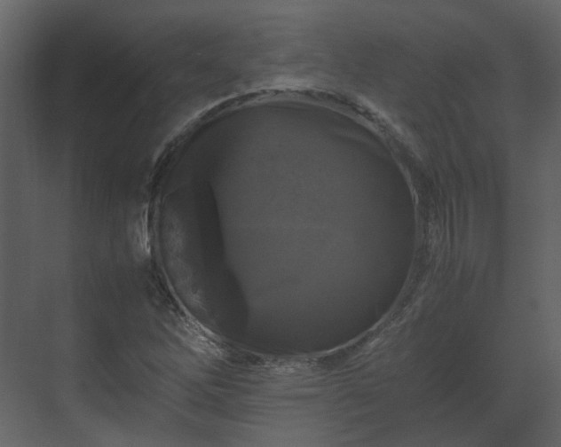 X0000070171262200605301316
