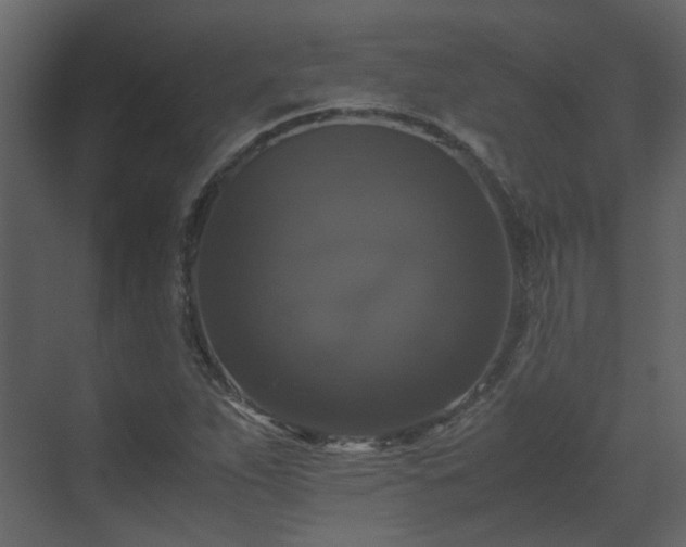 X0000070171263200605301316