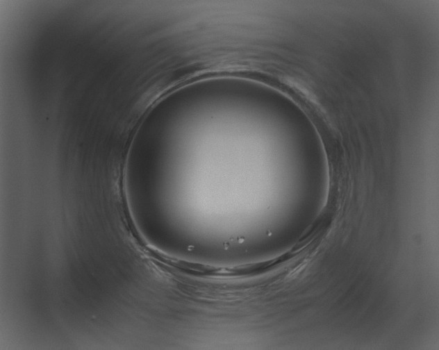 X0000070171273200605301316