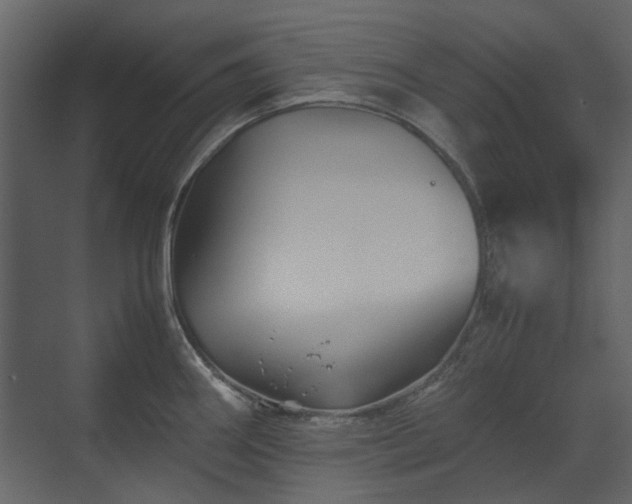 X0000070171290200605301316