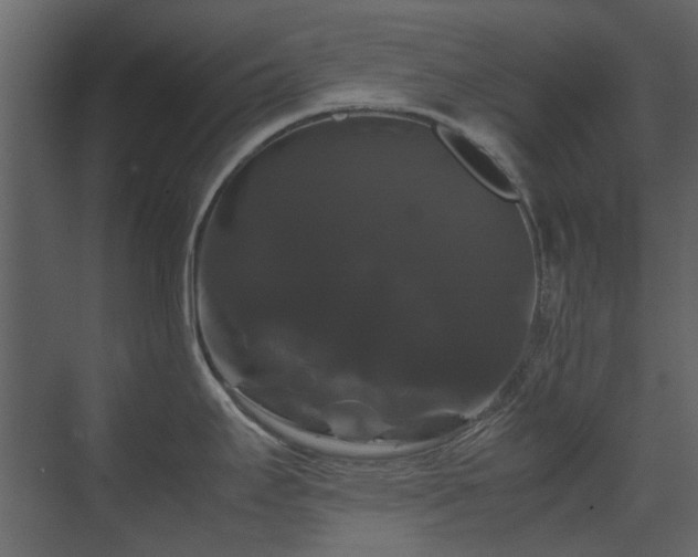 X0000070171295200605301316
