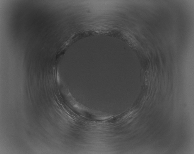 X0000070171298200605301315