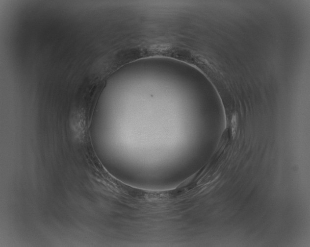 X0000070171299200605301315